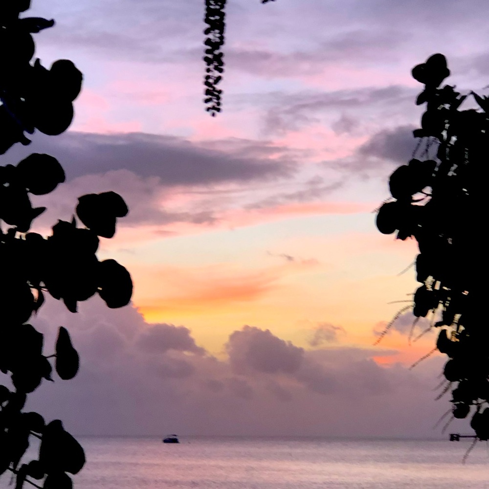 Meet your Posher, Terri